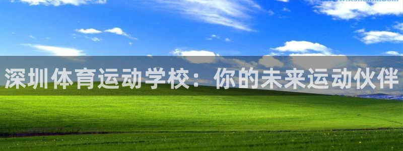 凯发官方集团官网：深圳体育运动学校：你的未来运动伙伴