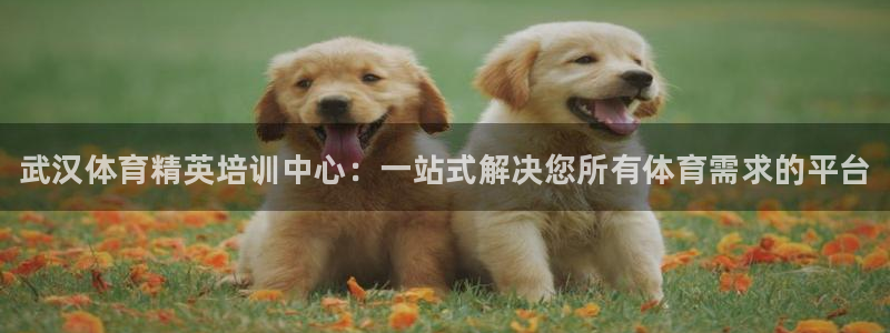凯发官网下载平台是正规平台吗：武汉体育精英培训中心：