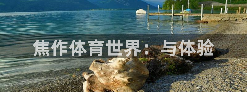 凯发官网下载是干嘛的公司：焦作体育世界：与体验
