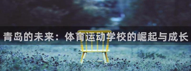 海南凯发官网下载：青岛的未来：体育运动学校的崛起与成