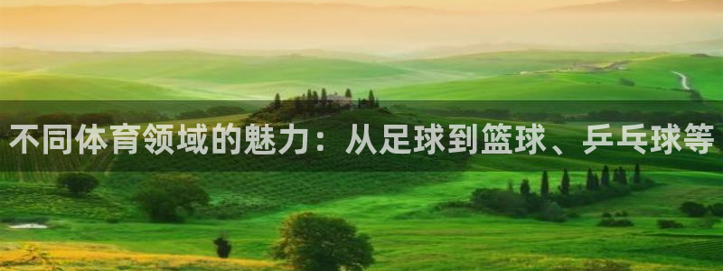 凯发官网下载招商电话：不同体育领域的魅力：从足球到篮球、乒乓