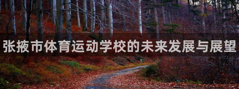 凯发官方正版app神州：张掖市体育运动学校的未来发展