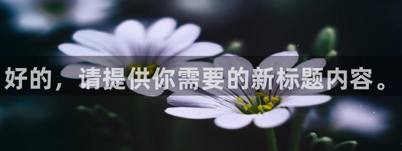德国凯发官方正版app集团：好的，请提供你需要的新标