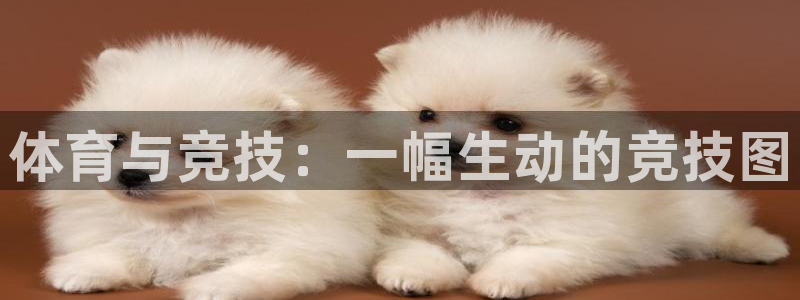 凯发官方正版app娱乐平台：体育与竞技：一幅生动的竞技图