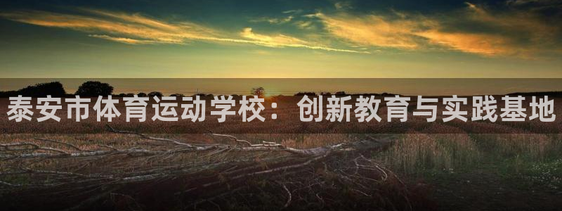 凯发官方正版app神州：泰安市体育运动学校：创新教育与实践基