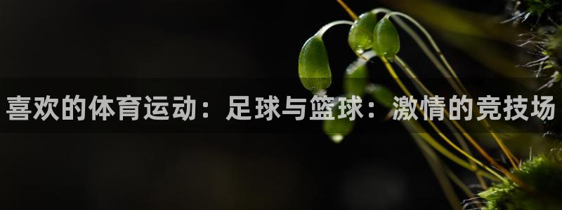 凯发官网下载平台注册要钱吗是真的吗：喜欢的体育运动：足球与篮