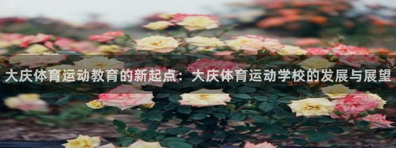 凯发官网下载招商电话号码是多少：大庆体育运动教育的新起点：大