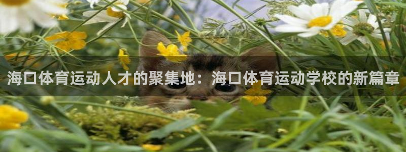 海南凯发官网下载