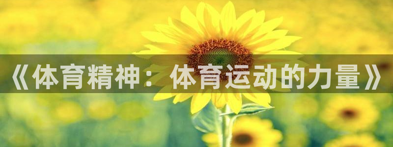 凯发官方正版app集团E.ON：《体育精神：体育运动的力量》