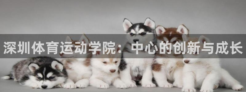 凯发官网下载官方客服电话