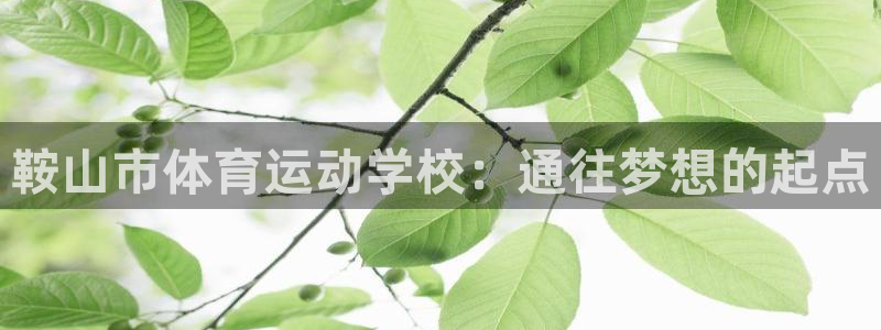 凯发官方平台体育：鞍山市体育运动学校：通往梦想的起点