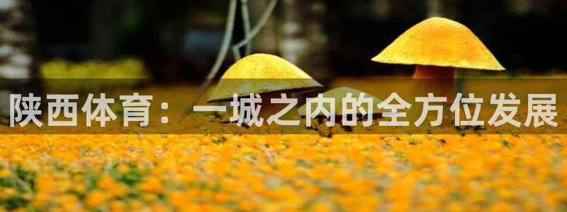 凯发官网下载招商电话号码查询：陕西体育：一城之内的全