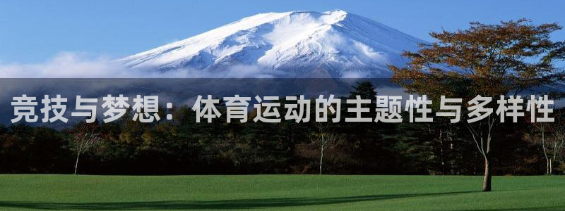 凯发官方正版app集团简介：竞技与梦想：体育运动的主