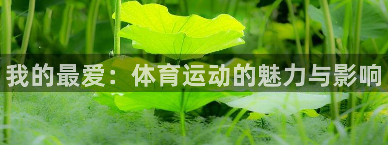 凯发官网下载招商电话号码查询：我的最爱：体育运动的魅