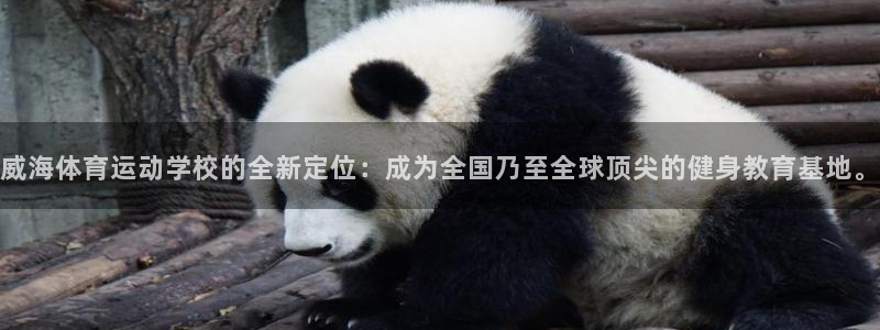 凯发官网下载招商电话号码查询是多少