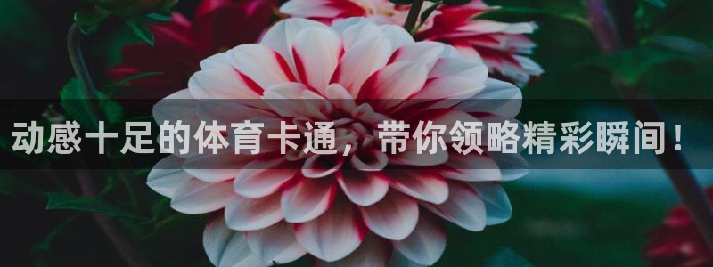 凯发官网下载招商电话是多少：动感十足的体育卡通，带你