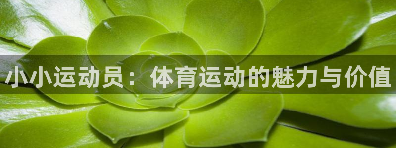 凯发官网下载联系电话：小小运动员：体育运动的魅力与价值