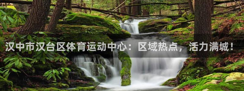 凯发官网下载官方客服电话：汉中市汉台区体育运动中心：区域热点