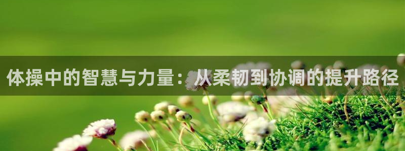 凯发官网下载娱乐