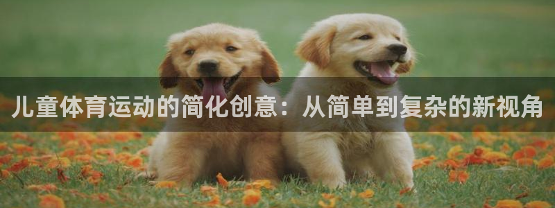 凯发官方正版app集团：儿童体育运动的简化创意：从简